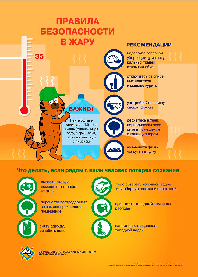 Как перенести летнюю жару
